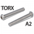 ISO 7380-1 A2 Болт з напівкруглою головкою під torx