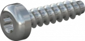 Шуруп для термопластика с полукруглой головкой, шлиц TX, цинк