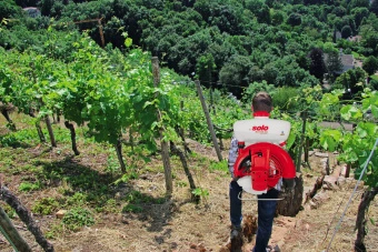 Обприскувач бензиновий ранцевий SOLO, 2.1 кВт, 15 л, до 11 м, бак 1.4 л, вага 10.5 кг