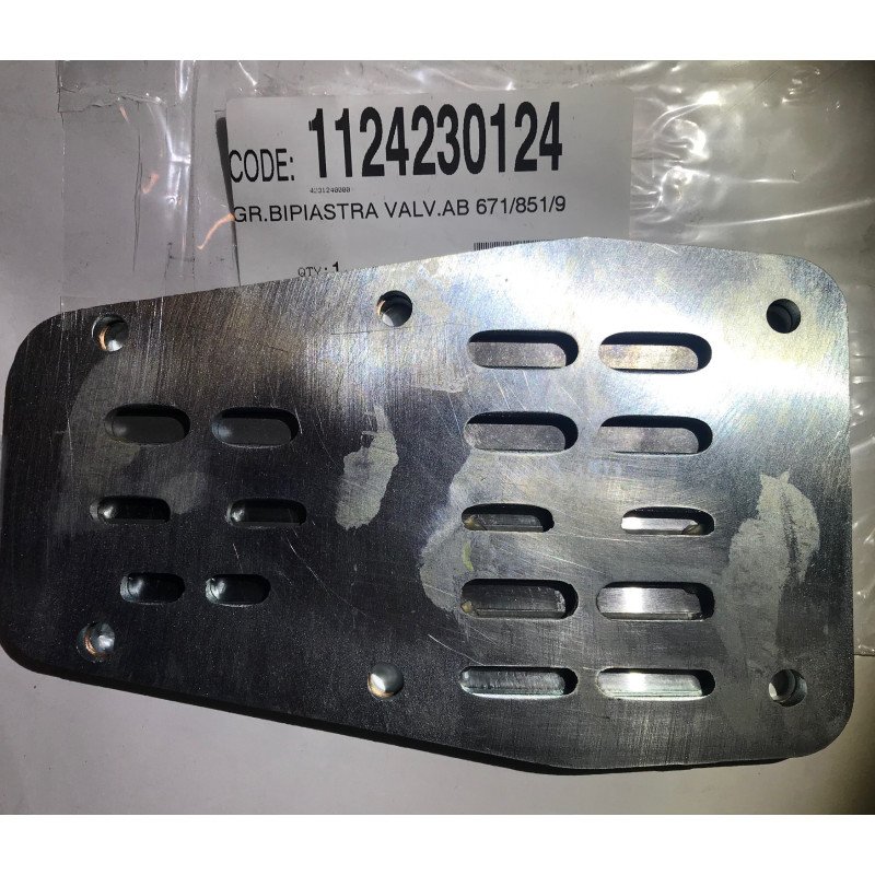 FIAC Клапанная плита АВ858 | 1124230124