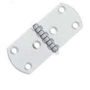 Петля нержавеющая 8046C 100x40x1.5