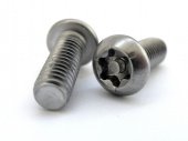 Антивандальный винт с полукруглой головкой TORX PIN WS 9480 аналог ISO 7380