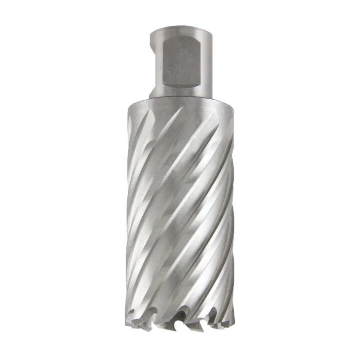 Фреза кольцевая PROFITOOL ( ПРОФИТУЛ ) 21x30 мм M42 HSS Co. Weldon 19