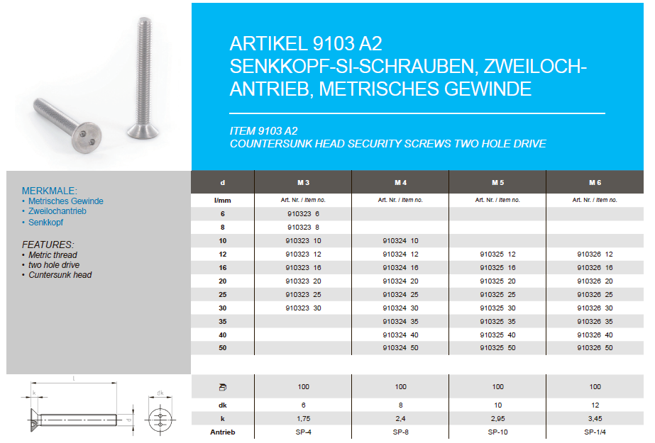 Countersunk head security screws, two hole drive