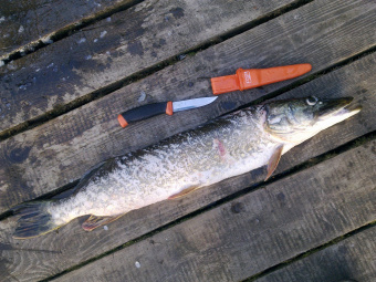 BAHCO 2444 Нож универсальный в чехле 230 мм.