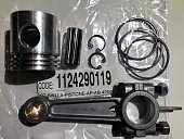 FIAC Поршень в сборе для -AP-AB 425/525 | 1124290119