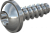Шуруп для термопластика с полукруглой головкой с пресшайбой, шлиц TX, цинк