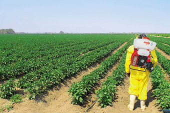 Опрыскиватель бензиновый SOLO 423