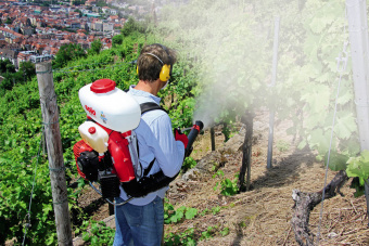 Опрыскиватель бензиновый SOLO 423