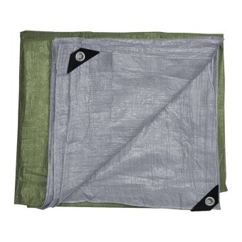 Тент будівельний 140г/м2, 4х6м Favorit | 10-894