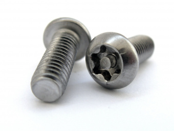 Антивандальный винт с полукруглой головкой TORX PIN WS 9480 аналог ISO 7380